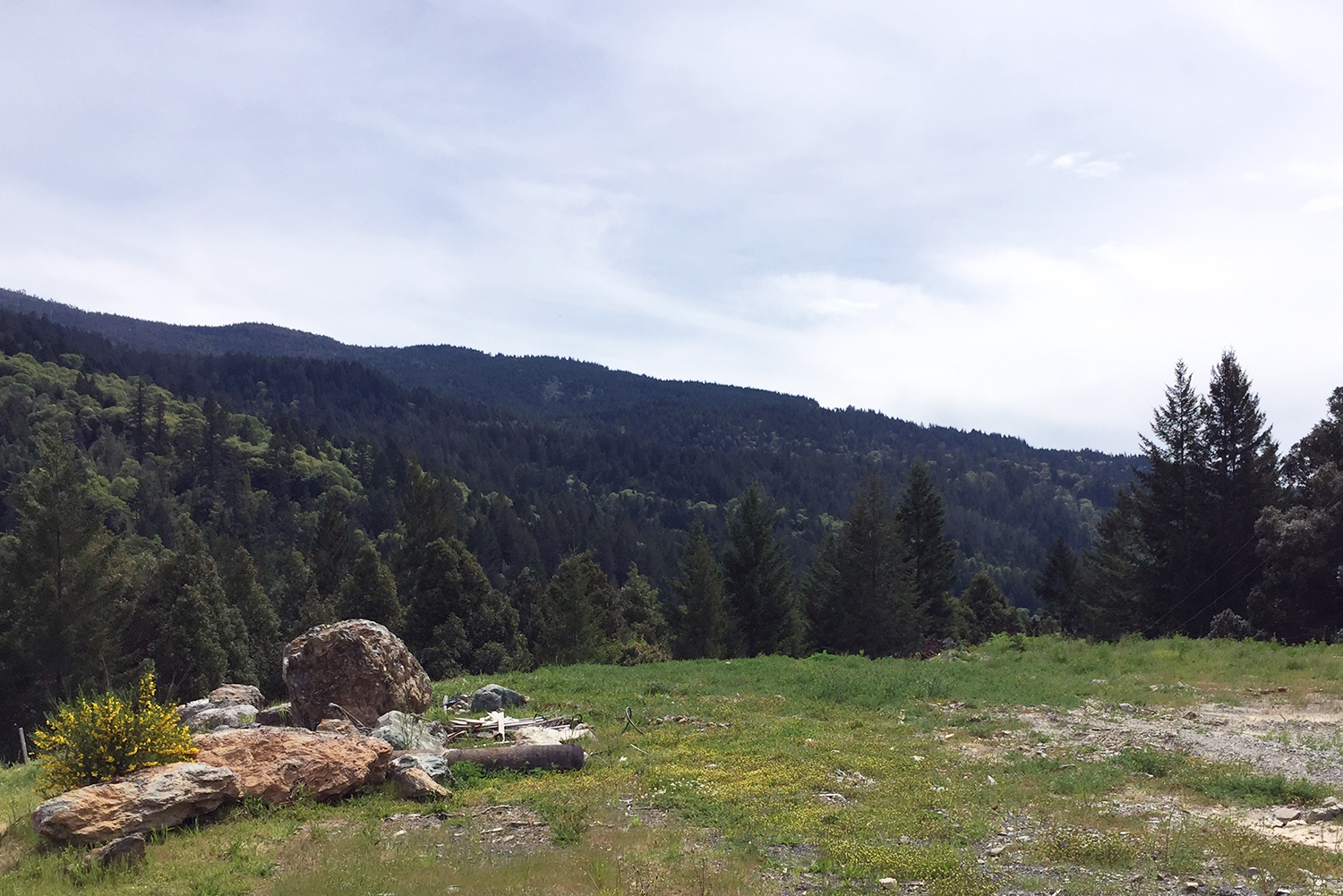 Looking over a ridge toward evergreen mountains