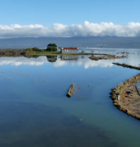 Tuluwat in Humboldt Bay