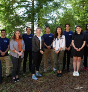 11 students stand together beneath redwoods
