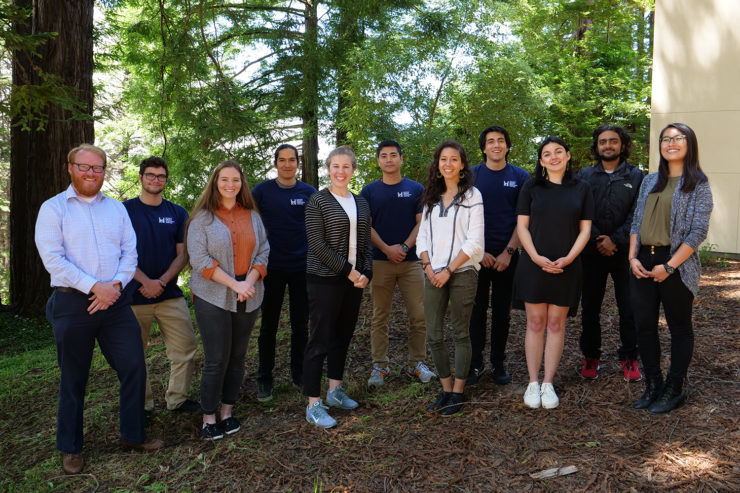 11 students stand together beneath redwoods
