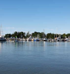 Ships are moored in the marina