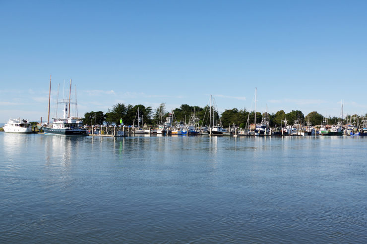 Ships are moored in the marina
