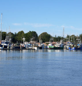 Boats moored in a marina