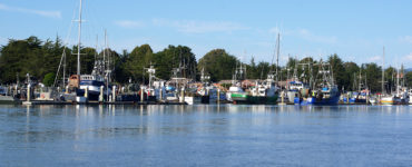 Boats moored in a marina