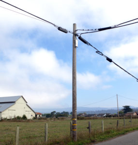 A utility pole in the foreground, with a barn in the background
