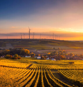 An agricultural field at sunset with wind turbines in the distance