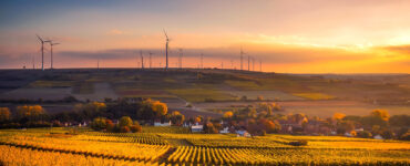 An agricultural field at sunset with wind turbines in the distance